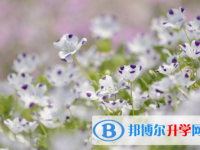 2021年石家莊如何查詢中考成績
