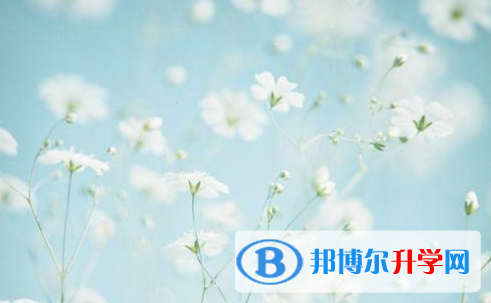 2021年石家莊如何查詢中考錄取結果