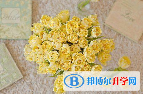 2021年石家莊網上查詢中考成績