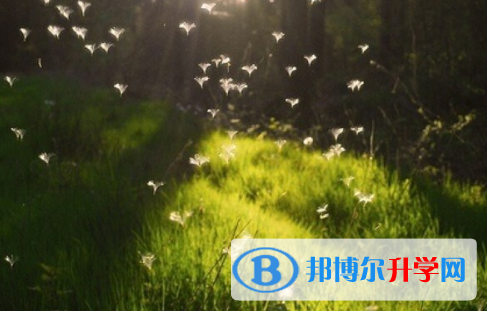 2021年石家莊中考查詢系統
