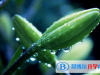 2021年石家莊中考成績(jī)查詢?nèi)肟? /><b>2021年石家莊中考成績(jī)查詢?nèi)肟?/b><span>2021-02-22 09:22</span><p>小編作為一個(gè)從學(xué)習(xí)階段過(guò)來(lái)的人，想要告訴大家，初中的成績(jī)不代表高中的成績(jī)，但是初中是一個(gè)打基礎(chǔ)的階段，所以包括語(yǔ)文在內(nèi)的</p></a></h3></li>
<li><h3><a href=