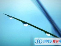 2021年石家莊中考成績(jī)查詢系