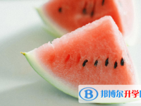 2021年商洛中考統考成績