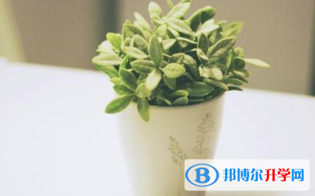 2021年商洛中考網報