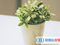 2021年商洛中考網(wǎng)報(bào)
