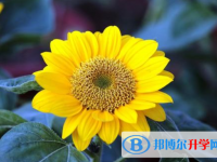 2021年商洛中考網登錄