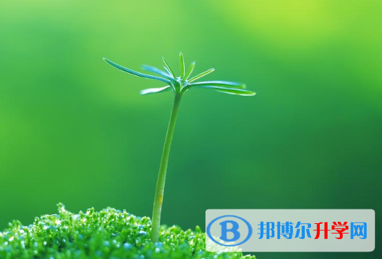 2021年石家莊中考成績怎么算