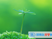 2021年石家莊中考成績(jī)?cè)趺此? /><b>2021年石家莊中考成績(jī)?cè)趺此?/b><span>2021-02-22 10:17</span><p>因此可能在算中考成績(jī)時(shí)也是不同，大家要參考自己所在區(qū)域的總分規(guī)劃來(lái)算自己的分?jǐn)?shù)。其次就是如果同學(xué)們選擇其他地方的高中學(xué)校</p></a></h3></li>
<li><h3><a href=