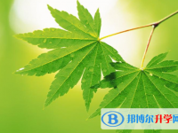 2021年石家莊中考成績(jī)?cè)趺床樵? /><b>2021年石家莊中考成績(jī)?cè)趺床樵?/b><span>2021-02-22 10:23</span><p>中考是同學(xué)們?nèi)松飞系姆炙畮X，是非常重要的一個(gè)轉(zhuǎn)折，對(duì)于同學(xué)們來(lái)說(shuō)是非常重要的。所以，大家在為中考考試復(fù)習(xí)的時(shí)候一定要認(rèn)</p></a></h3></li>
<li><h3><a href=