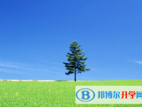 2021年石家莊中考成績(jī)?cè)谀睦锊樵? /><b>2021年石家莊中考成績(jī)?cè)谀睦锊樵?/b><span>2021-02-22 10:32</span><p>現(xiàn)在網(wǎng)絡(luò)科技發(fā)達(dá)，同學(xué)們可以通過(guò)網(wǎng)絡(luò)查詢中考成績(jī)，只需要?jiǎng)觿?dòng)手指就可以查詢到，但是在這個(gè)中考成績(jī)的背后，是同學(xué)們?nèi)晷量?/p></a></h3></li>
<li><h3><a href=