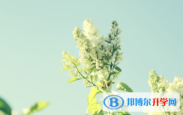 2021年石家莊中考成績如何查詢