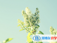 2021年石家莊中考成績?nèi)绾尾樵? /><b>2021年石家莊中考成績?nèi)绾尾樵?/b><span>2021-02-22 10:43</span><p>初中的生活隨著中考成績的公布，已經(jīng)在和同學(xué)們告別了。同學(xué)們要調(diào)整好心態(tài)，準備迎接高中新的，快節(jié)奏的生活的到來。高中與初中</p></a></h3></li>
<li><h3><a href=