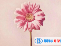 2021年商洛中考網絡服務應用平臺