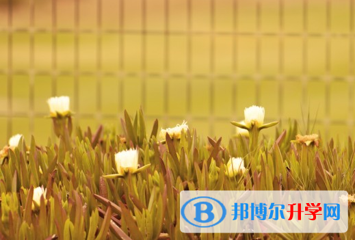 2021年石家莊中考成績公布時間