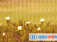 2021年石家莊中考成績公布時間