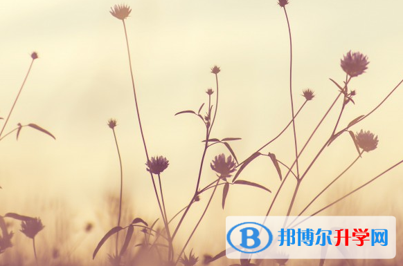 2021年石家莊教育網中考查詢