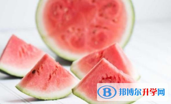 2021年商洛中考網(wǎng)絡應用服務平臺