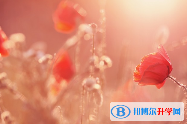 2021年石家莊中考體育成績對照表