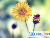 2021年石家莊中考考號(hào)查詢
