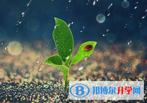 2021年石家莊近年中考重點線