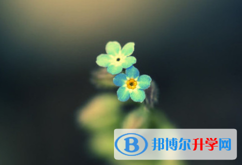 2021年石家莊歷年中考重點
