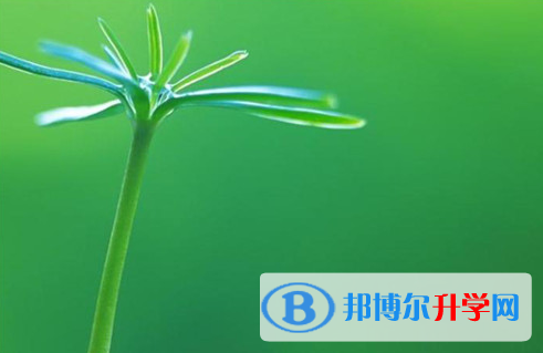 2021年石家莊如何填中考學校