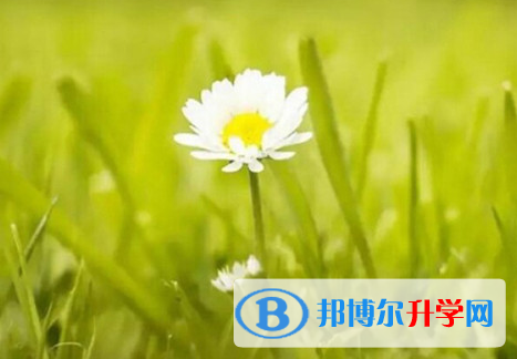 2021年石家莊中考報考攻略