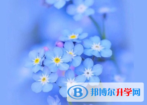2021年石家莊中考報考人數(shù)