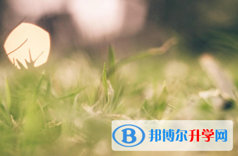 2021年石家莊中考報名系統