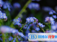 2021年石家莊中考成績(jī)?cè)鯓硬樵? /><b>2021年石家莊中考成績(jī)?cè)鯓硬樵?/b><span>2021-02-23 13:58</span><p>中考是同學(xué)們?nèi)松兄匾囊粓?chǎng)轉(zhuǎn)折點(diǎn)，這場(chǎng)考試不僅僅是幾張?jiān)嚲淼奶顚?xiě)，更是大家三年努力的回報(bào)。所以大家要直面困難，迎難而上</p></a></h3></li>
<li><h3><a href=