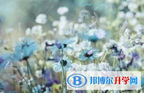 2021年石家莊中考成績今年怎么這么高