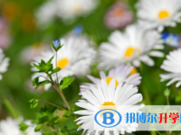 2021年石家莊中考成績(jī)何時(shí)出來(lái)