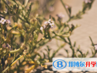 2021年石家莊中考成績(jī)出來(lái)了嗎