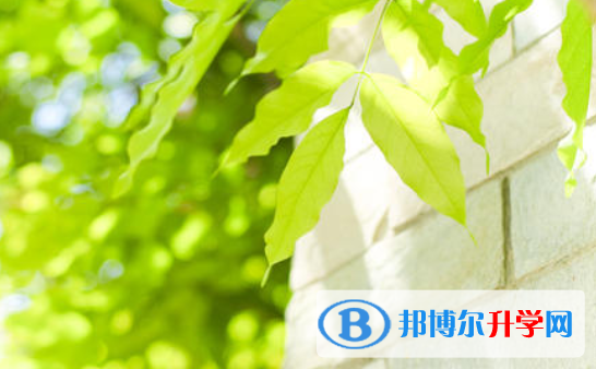 2021年商洛中考志愿官網