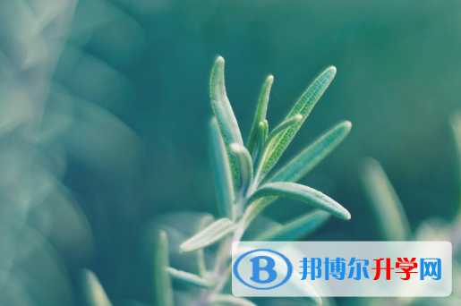 2021年石家莊中考查詢網址