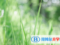 2021年商洛中考志愿怎么填報(bào)