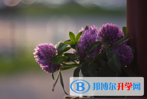 2021年石家莊中考報志愿時間