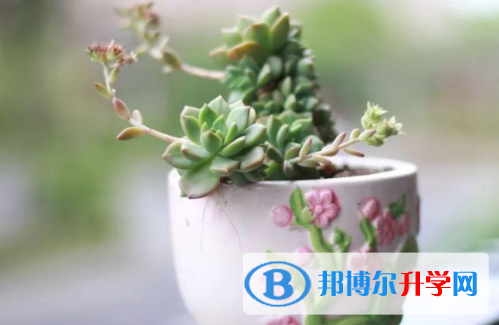 2021年商洛中考重點(diǎn)線是多少