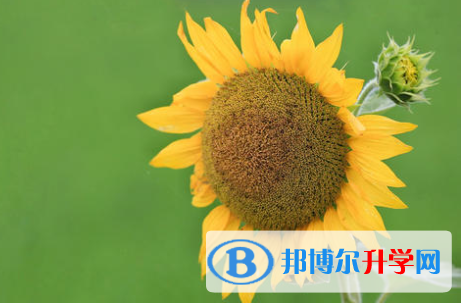 2021年商洛中考重點線預測