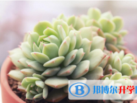 2021年商洛中考準考證信息