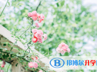 2021年商洛中考自主招生報名
