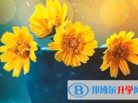 2021年商洛中考自主招生報名有哪些學校