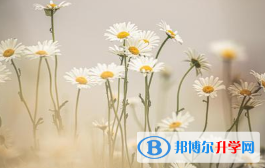 2021年商洛中考自主招生時間