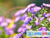 2021年石家莊中考服務(wù)平臺