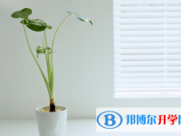 2021年商洛今年中考統招線包括哪些區域