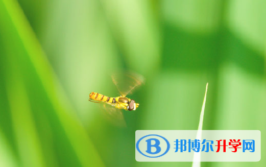 2021年石家莊中考公布時間