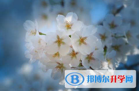 2021年秦皇島中考錄取報名網