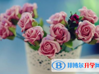 2021年唐山中考各科高頻考點