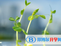 2021年秦皇島中考錄取結果