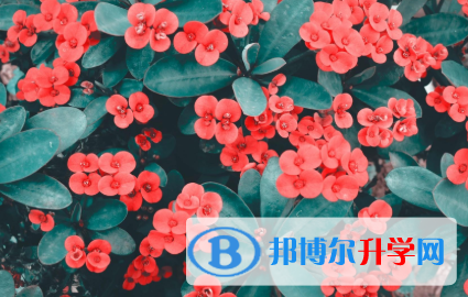 2021年秦皇島中考人數